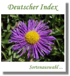 Deutscher Index