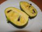 Preview: Das cremige, etwas an Mango erinnernde Fruchtfleisch der reifen Asimina triloba Sunflower