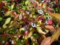 Preview: Cornus alba Aurea mit Früchten & beginnender Herbstfärbung
