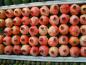 Preview: Granatäpfel auf dem Markt