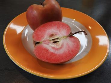 Äpple Roter Mond