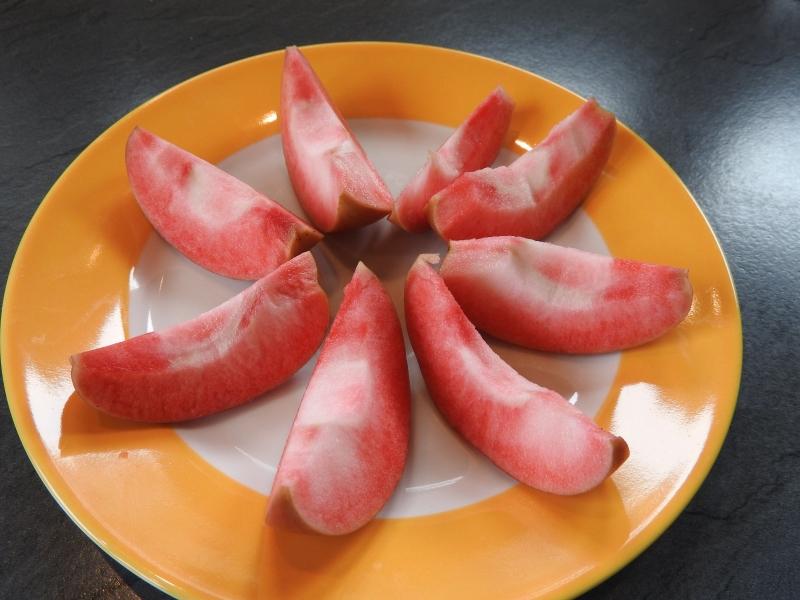 Äpple Roter Mond