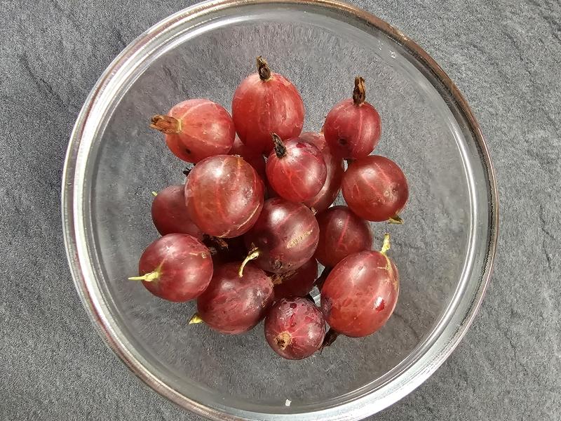 Rote Früchte der Stachelbeere Hinnonmäki Rot
